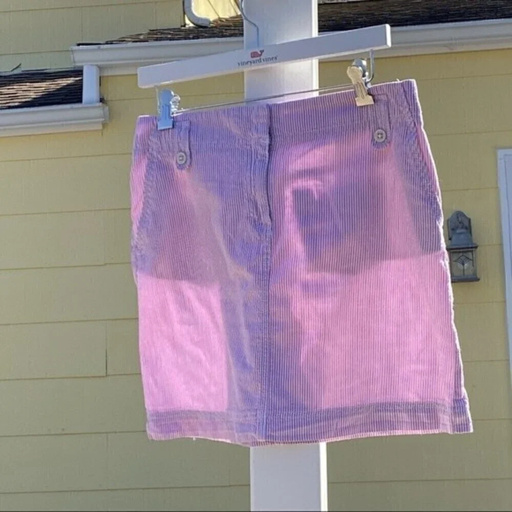 Loft Pink Seersucker Skirt - Picture 13 of 14